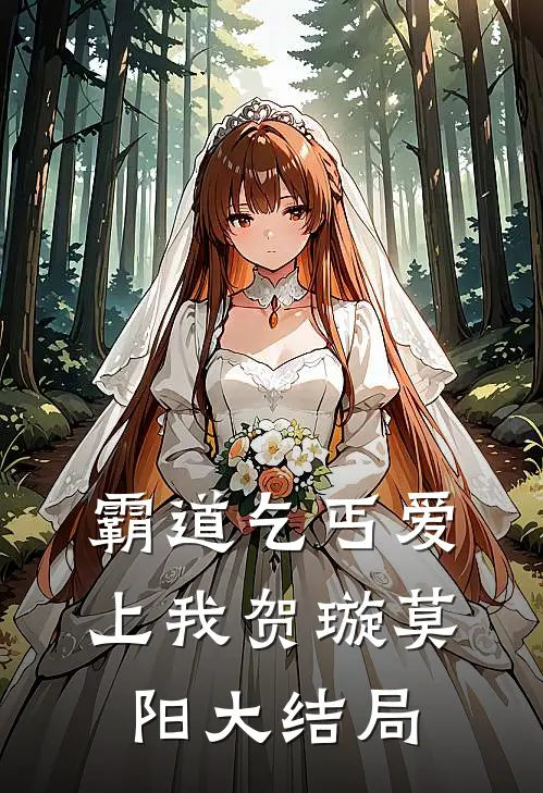 霸道乞丐爱上我贺璇莫阳大结局