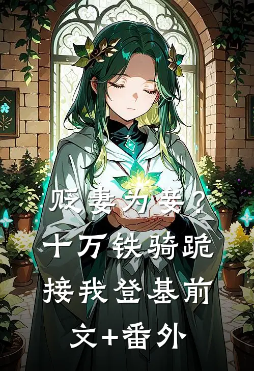 贬妻为妾？十万铁骑跪接我登基前文+番外