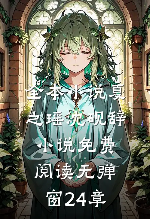全本小说夏之瑶沈砚辞小说免费阅读无弹窗24章