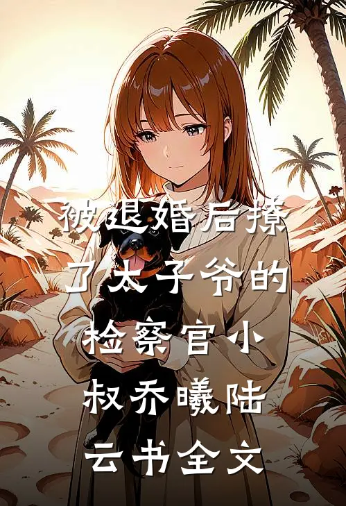 被退婚后撩了太子爷的检察官小叔乔曦陆云书全文