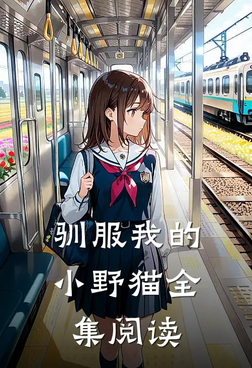 驯服我的小野猫全集阅读