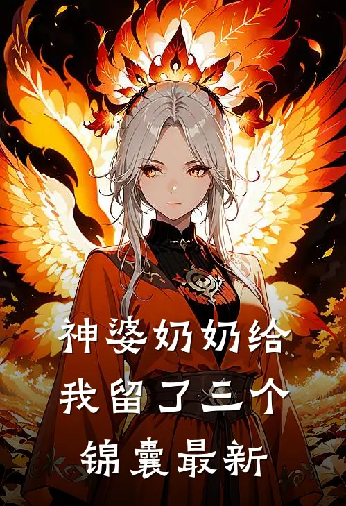 神婆奶奶给我留了三个锦囊最新