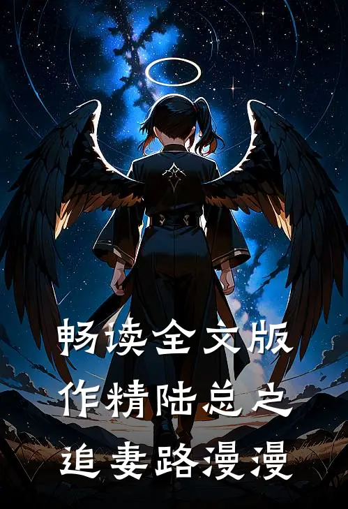 畅读全文版作精陆总之追妻路漫漫