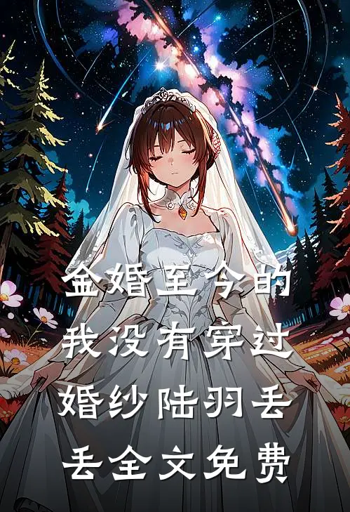金婚至今的我没有穿过婚纱陆羽丢丢全文免费