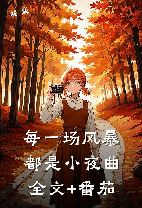 每一场风暴都是小夜曲全文+番茄