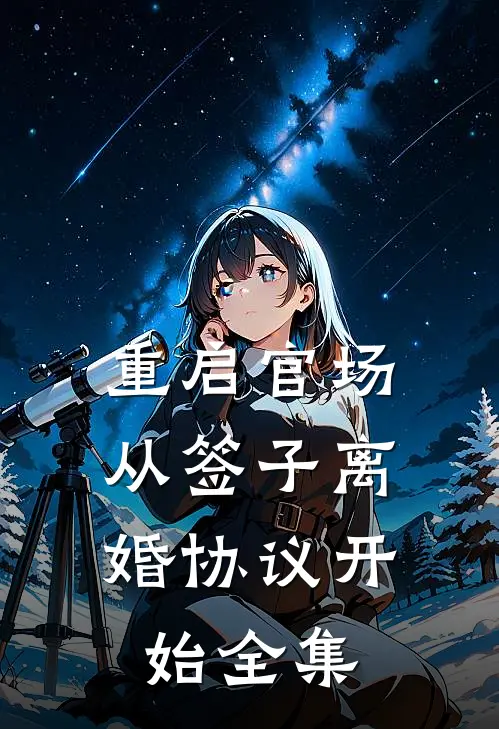 重启官场：从签子离婚协议开始全集