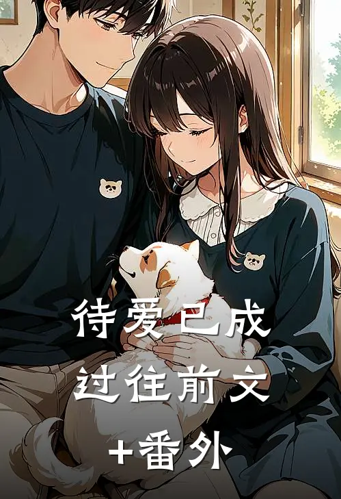 待爱已成过往前文+番外
