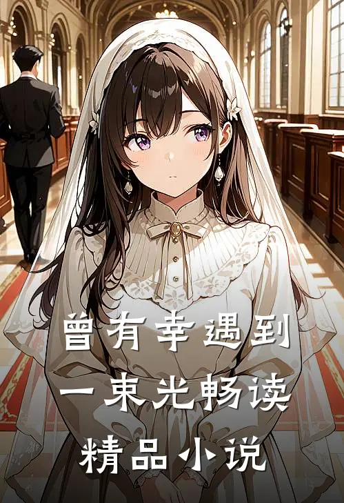 曾有幸遇到一束光畅读精品小说