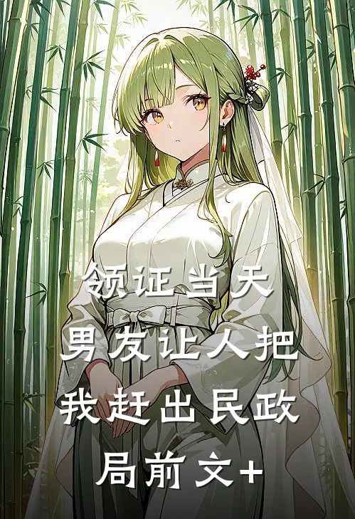 领证当天，男友让人把我赶出民政局前文+