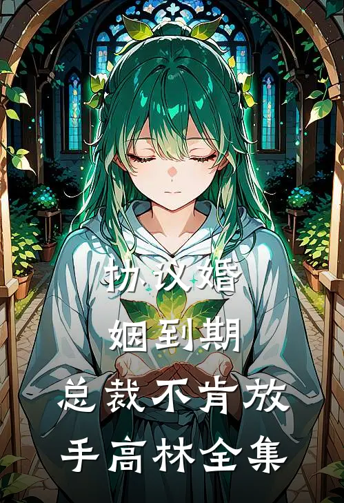 协议婚姻到期，总裁不肯放手高林 全集