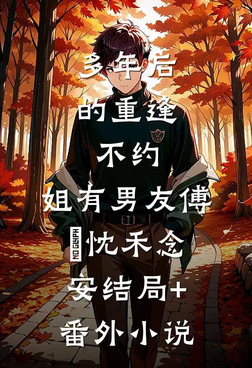 多年后的重逢，不约，姐有男友傅璟忱禾念安结局+番外小说