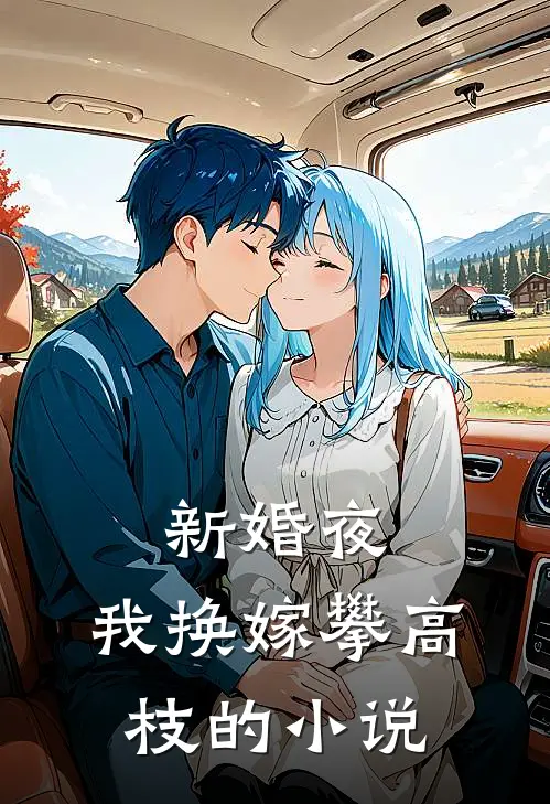 新婚夜，我换嫁攀高枝的小说